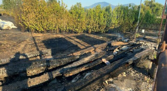 Longola risorge dalle ceneri: la cultura reagisce ai roghi dolosi con l‘Archeofestival