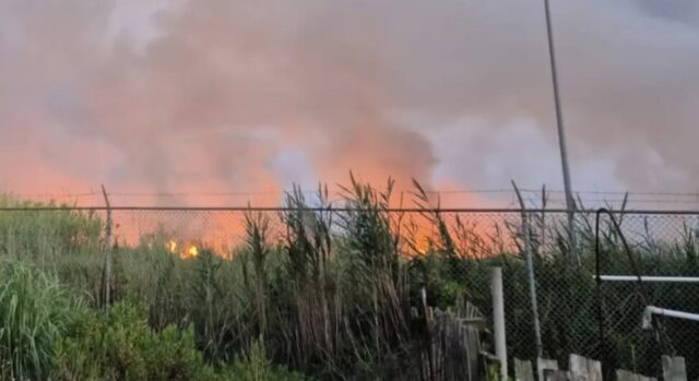 Pozzuoli, tenta di bruciare alcune foglie secche: distrutti 7 ettari di vegetazione