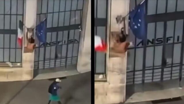 Strappa il tricolore, lo prende a calci e ci sputa sopra: il gesto ripreso in video