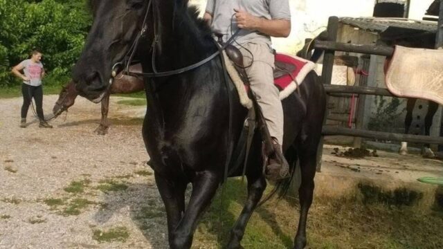 Muore a 57 anni per il caldo durante i lavori in giardino: si era appena laureato