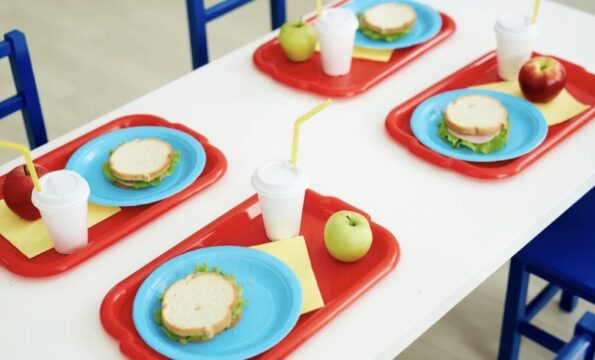 Allarme salmonella, ricoverati sette bambini dell’asilo nido: sotto esame uova e pollo