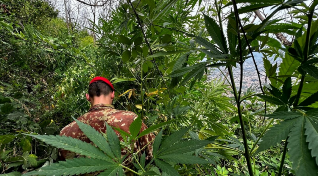 Un’auto abbandonata nascondeva oltre 1.300 dosi di droga: la scoperta dei carabinieri