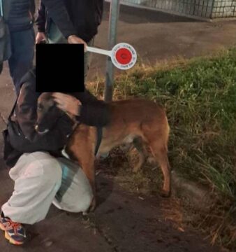 Smarrisce il cane e le chiedono un riscatto, due denunciati